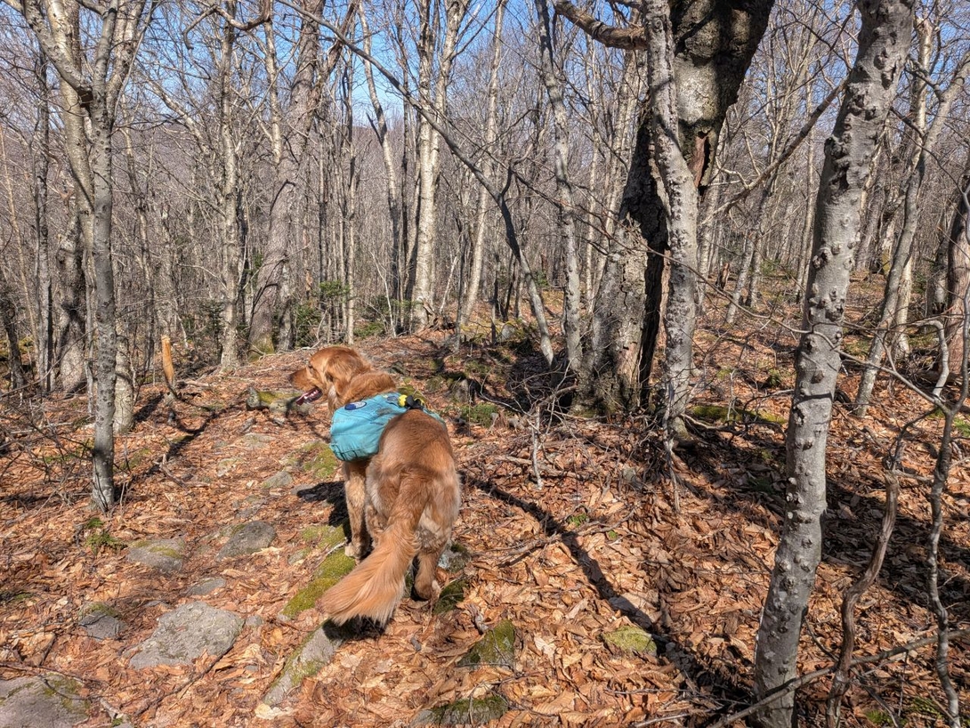 traversing the ridge