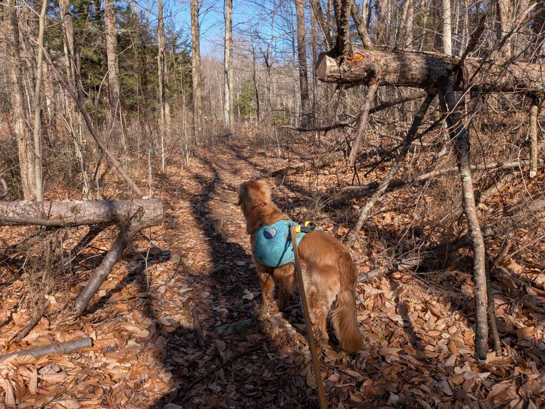 trail maintenance