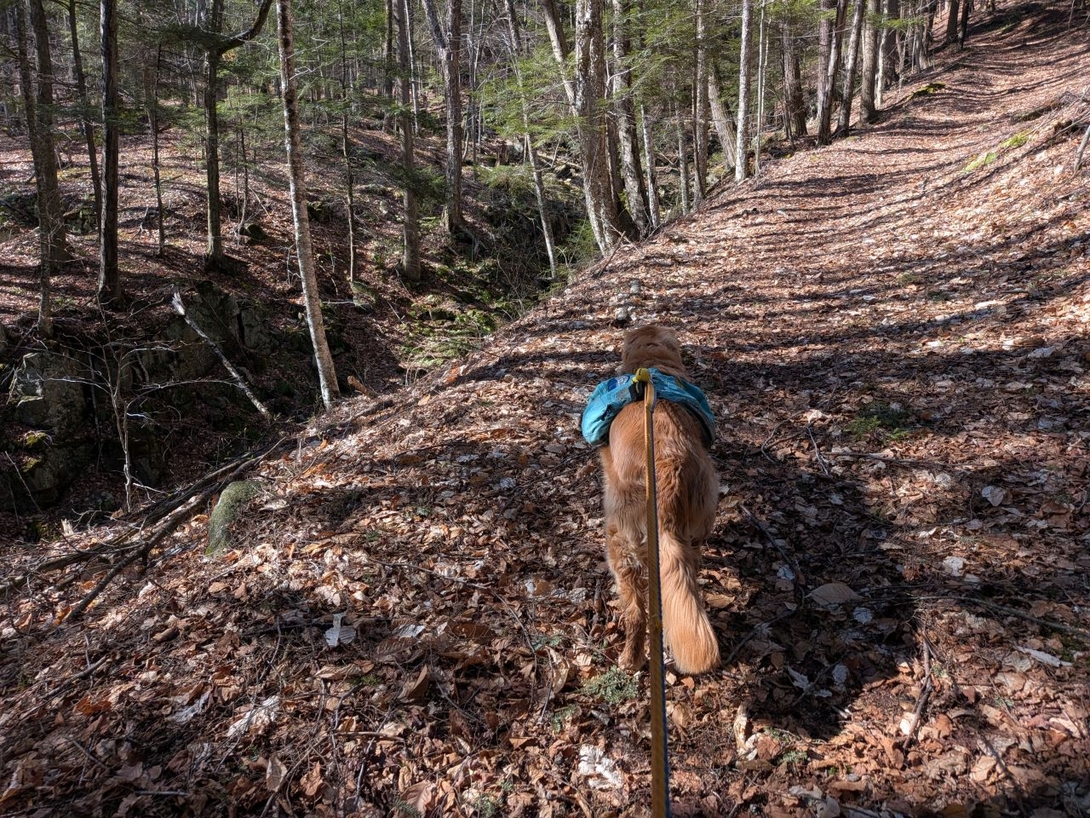 clear path