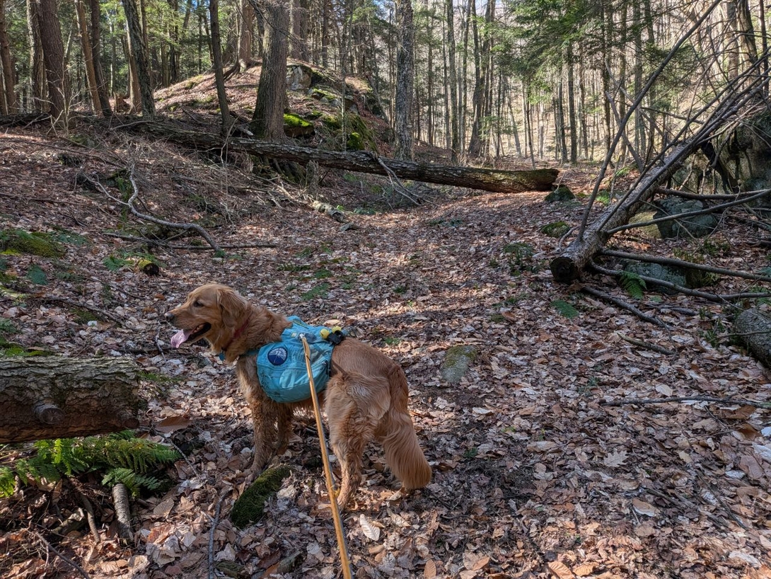 trail maintenance