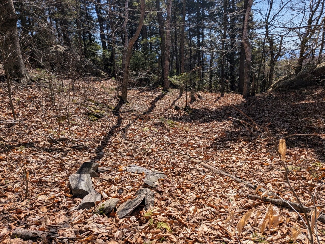 campsite