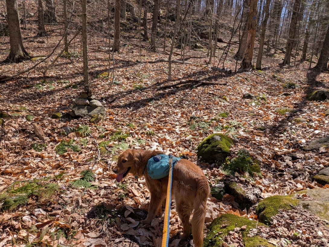Climber's path