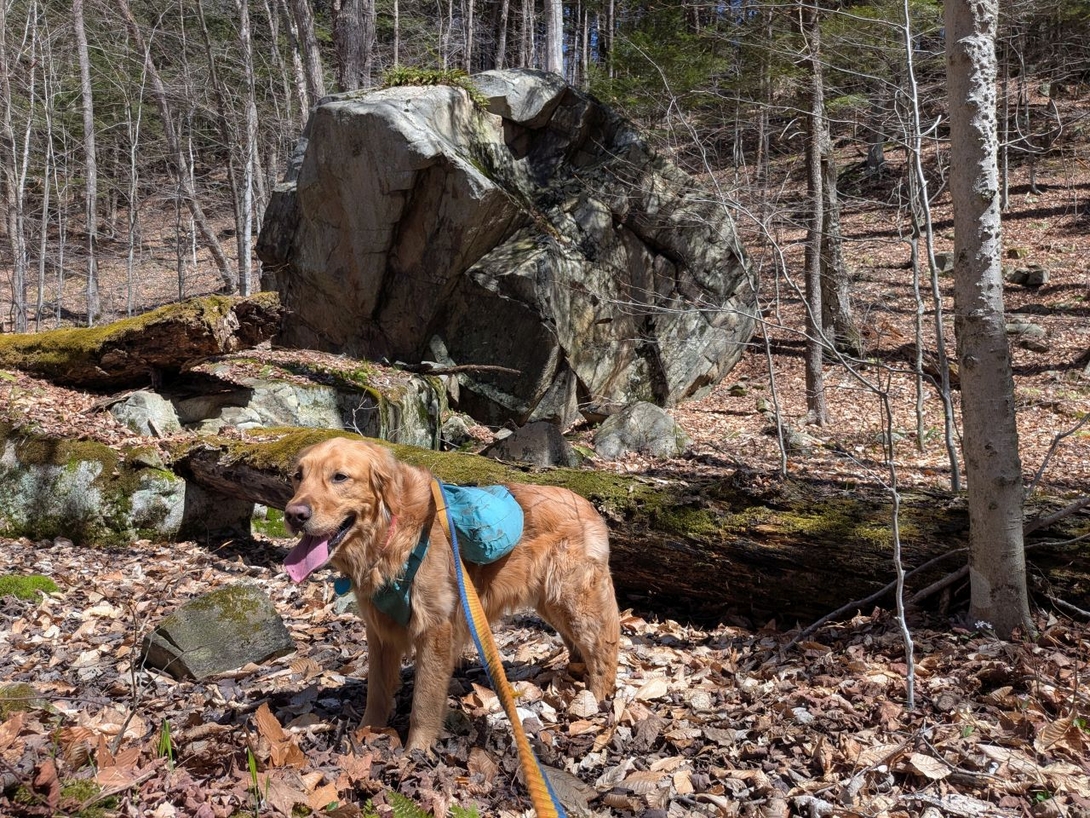 big rock