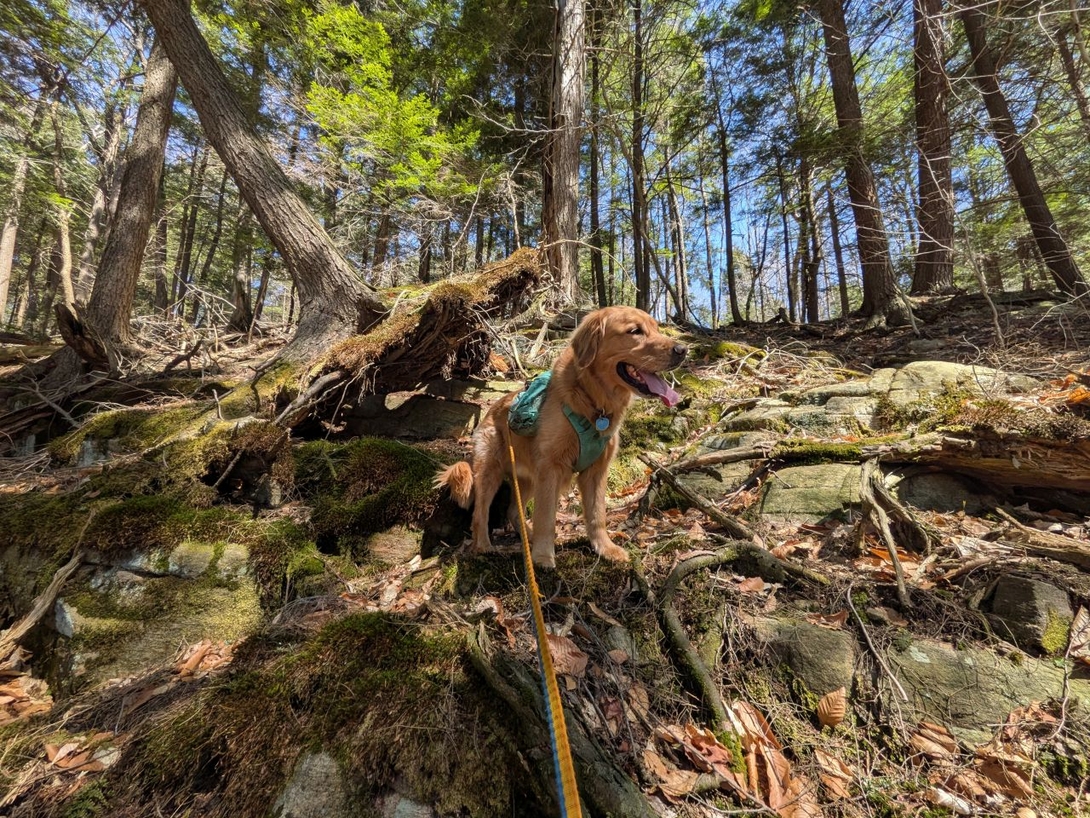 climbing up to inman pond