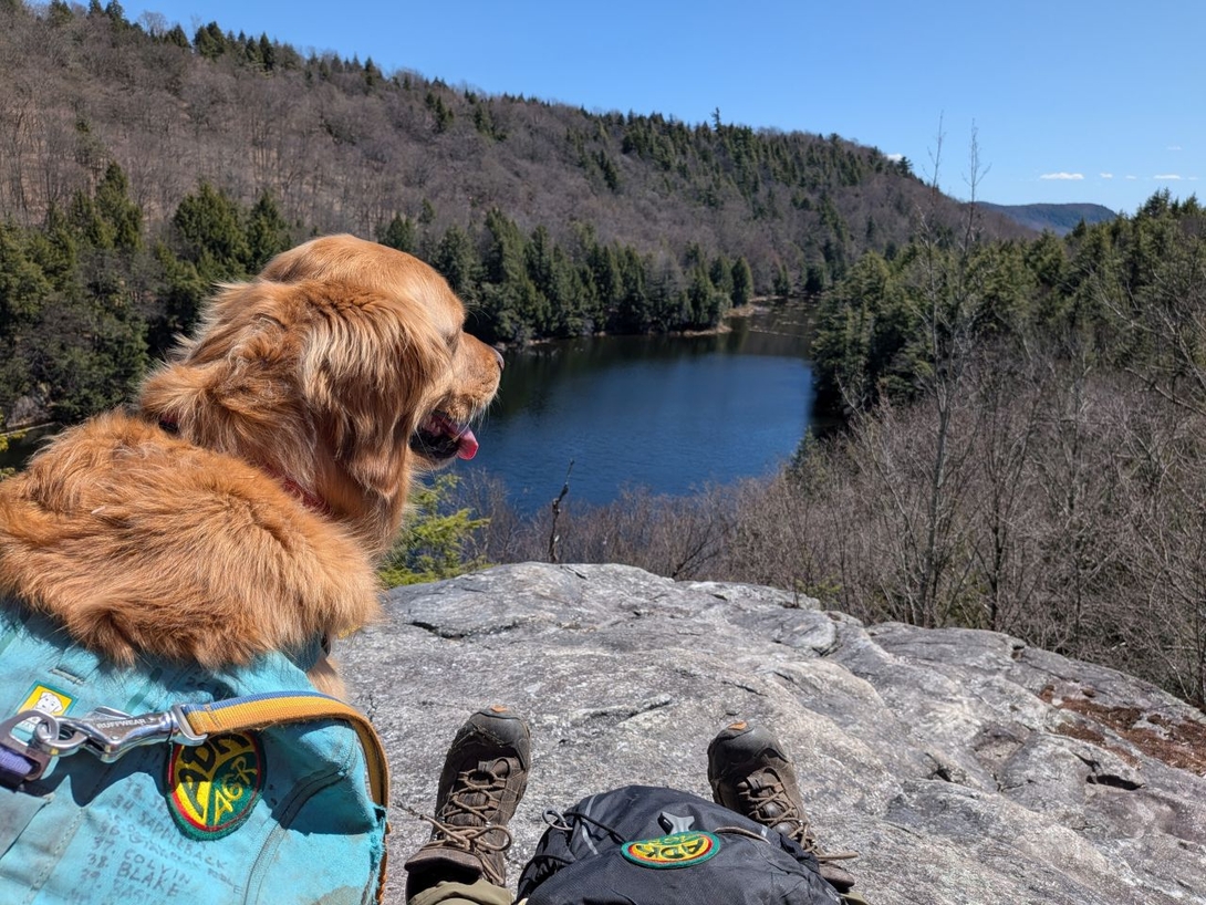 inman pond overlook