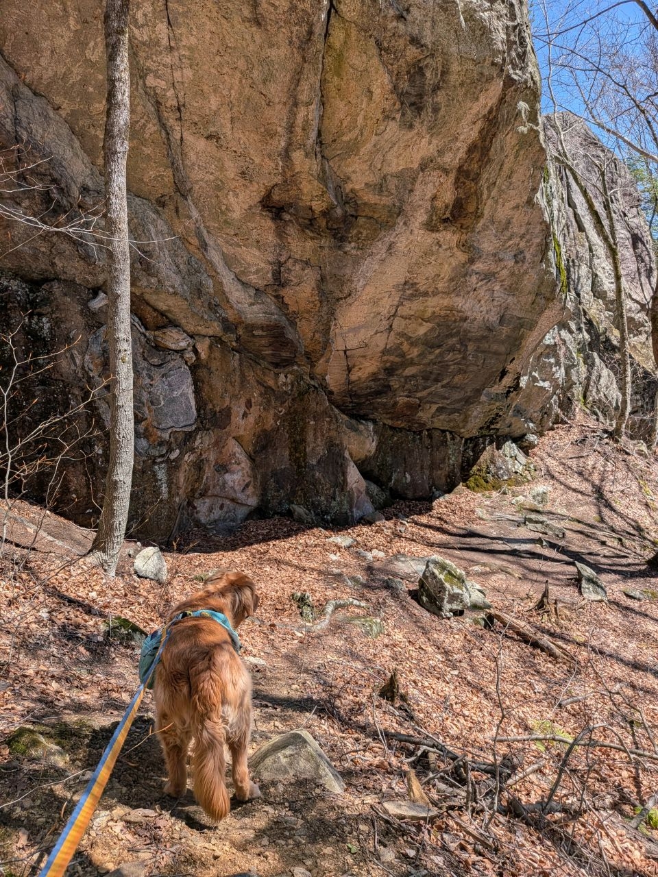 big rock shelter