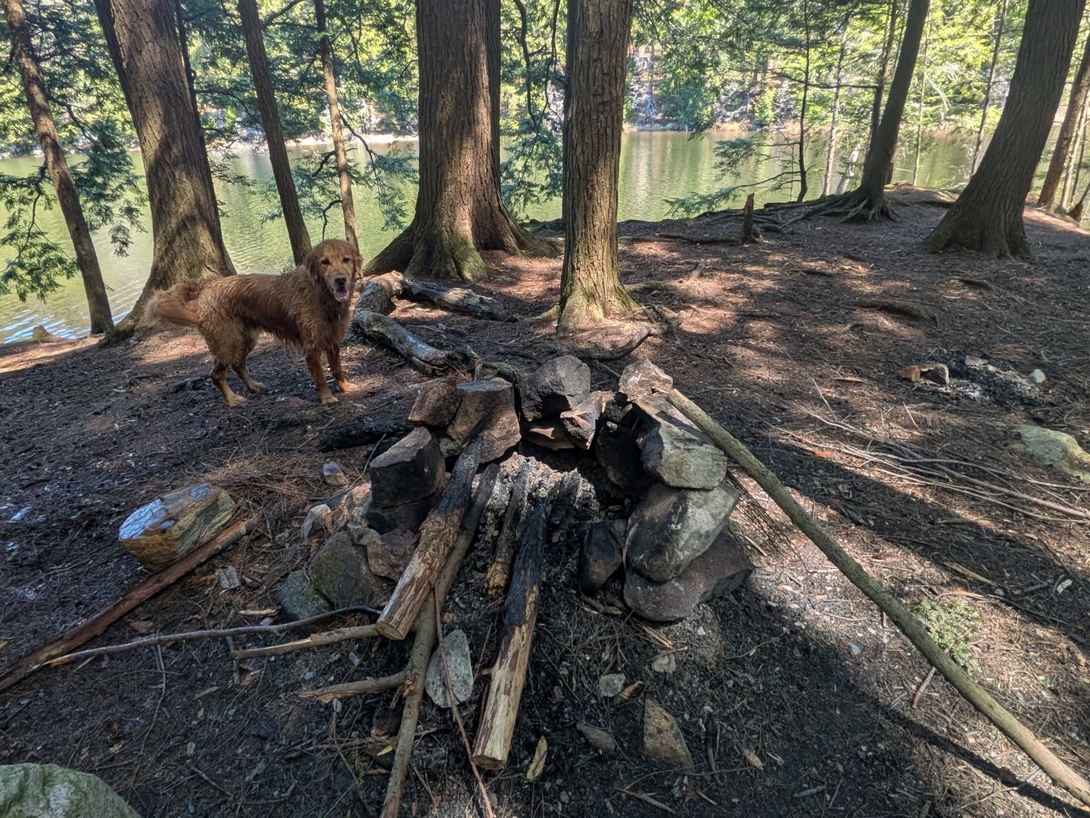 fire pit