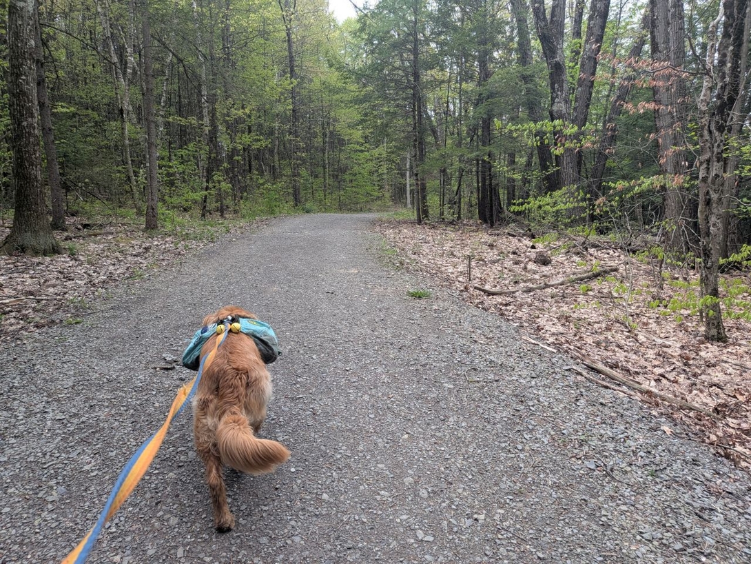 blue trail accessible