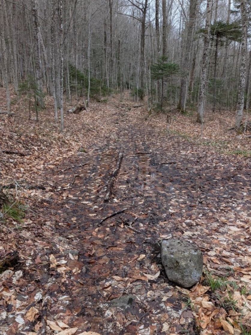less muddy