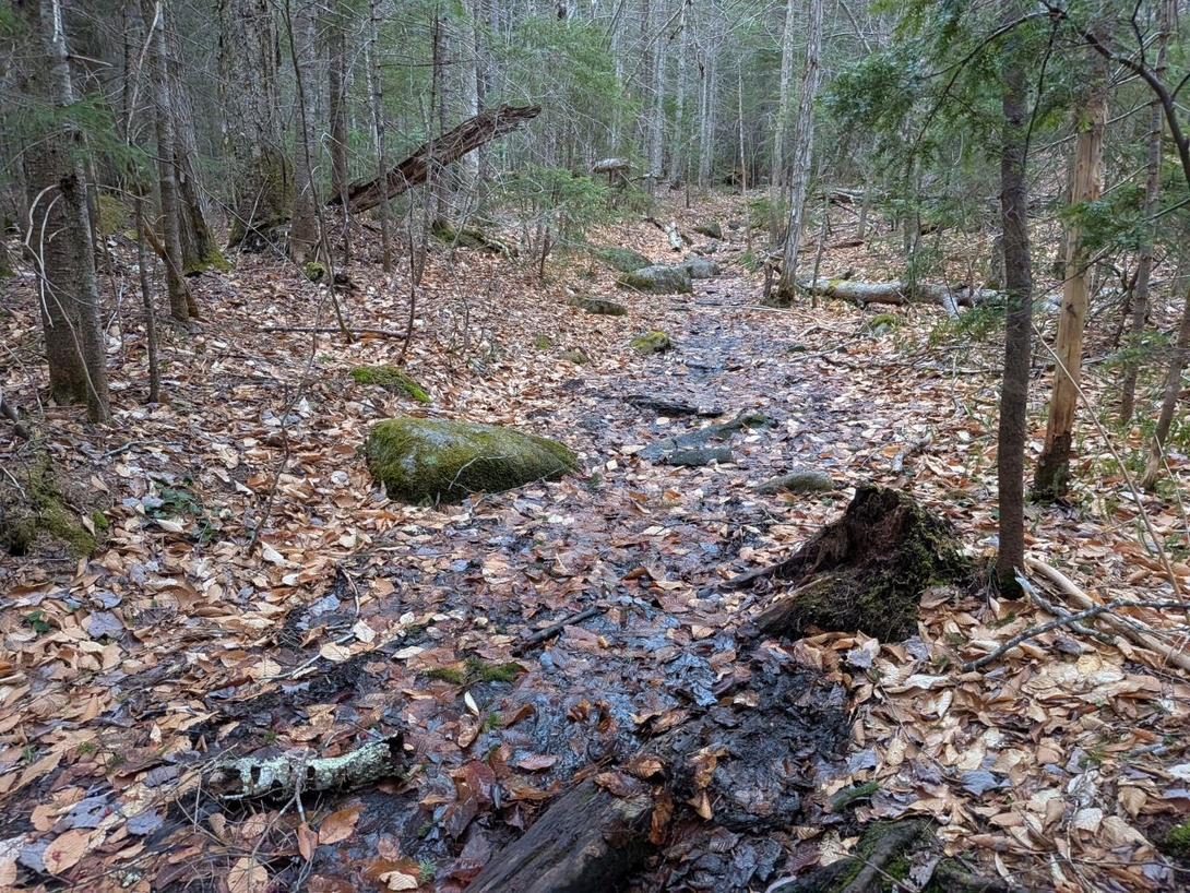 short stretches of mud