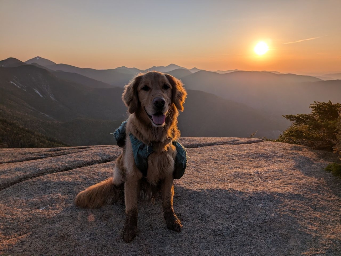sunny on Armstrong