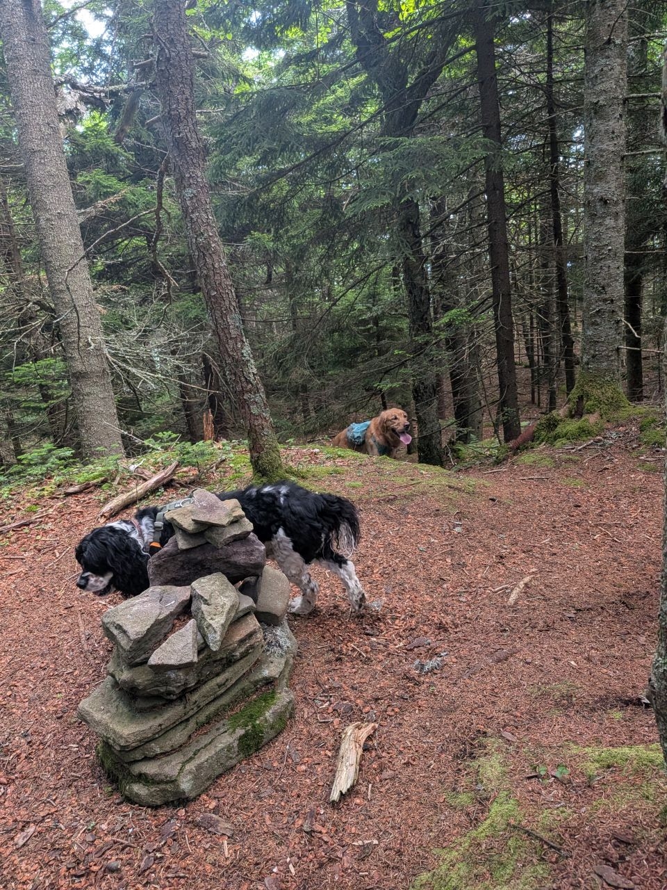 approaching the roundtop summit