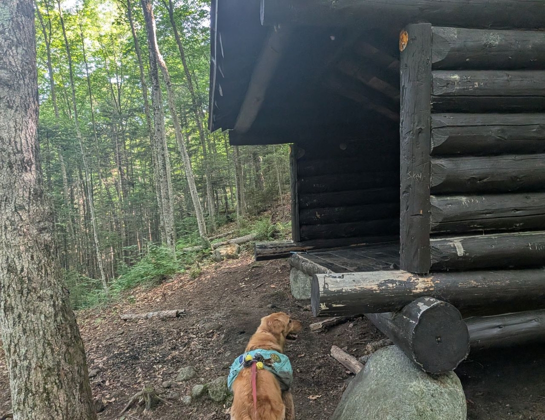 henderson leanto