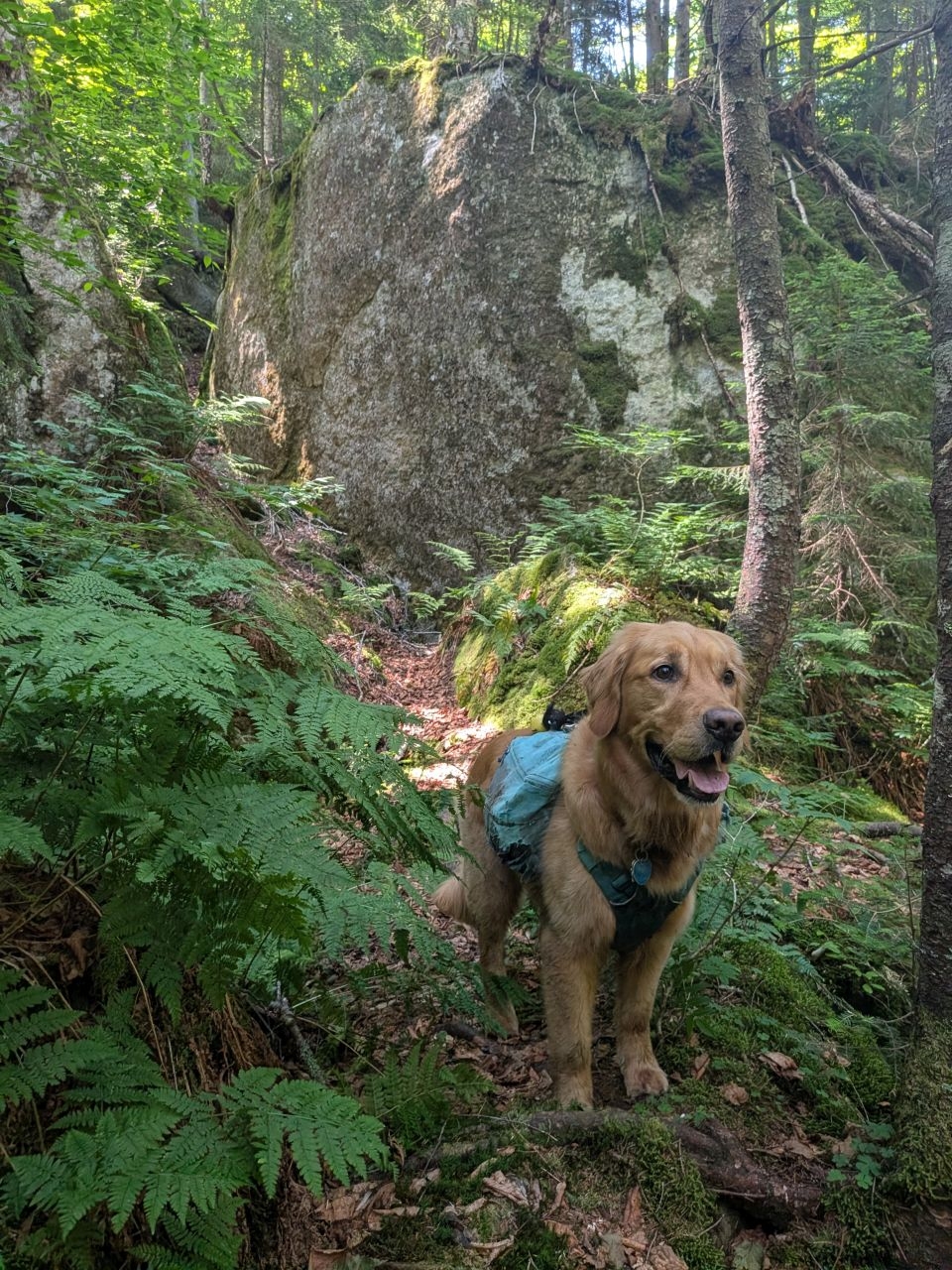 hiking through rocks