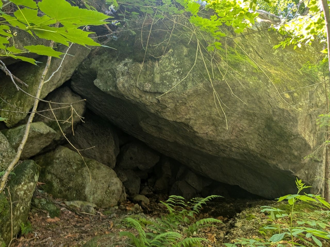 i wanna take a nap here
