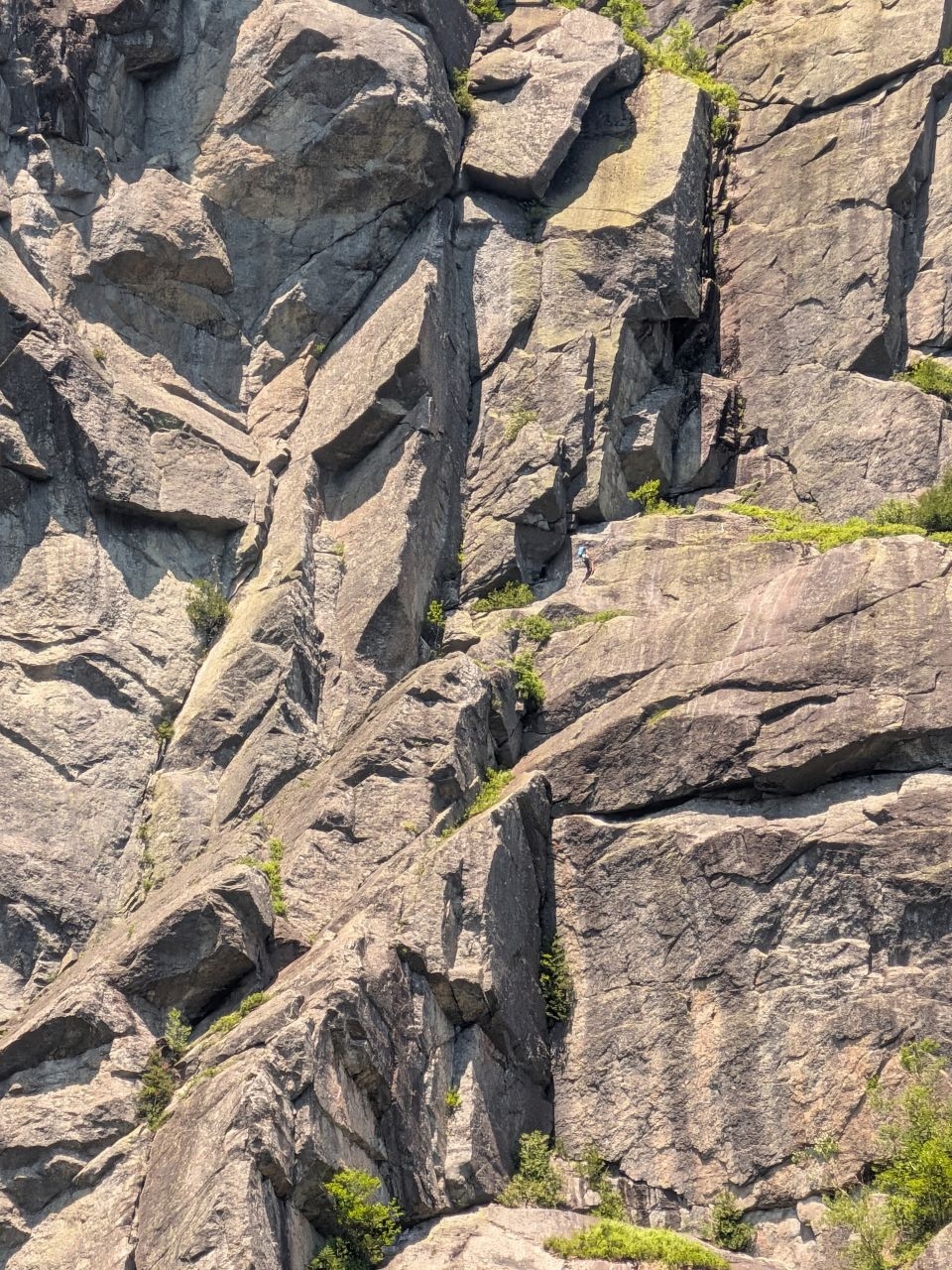 climber