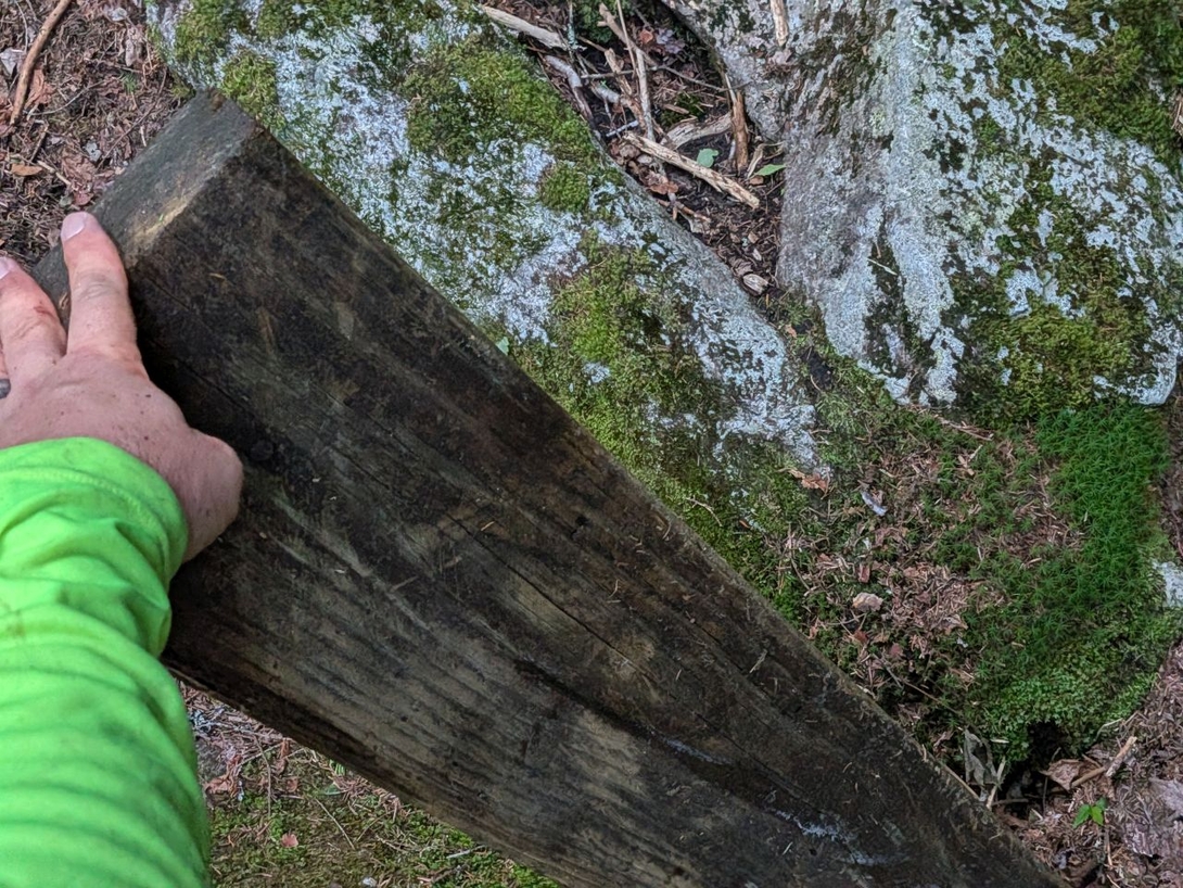 stole a plank