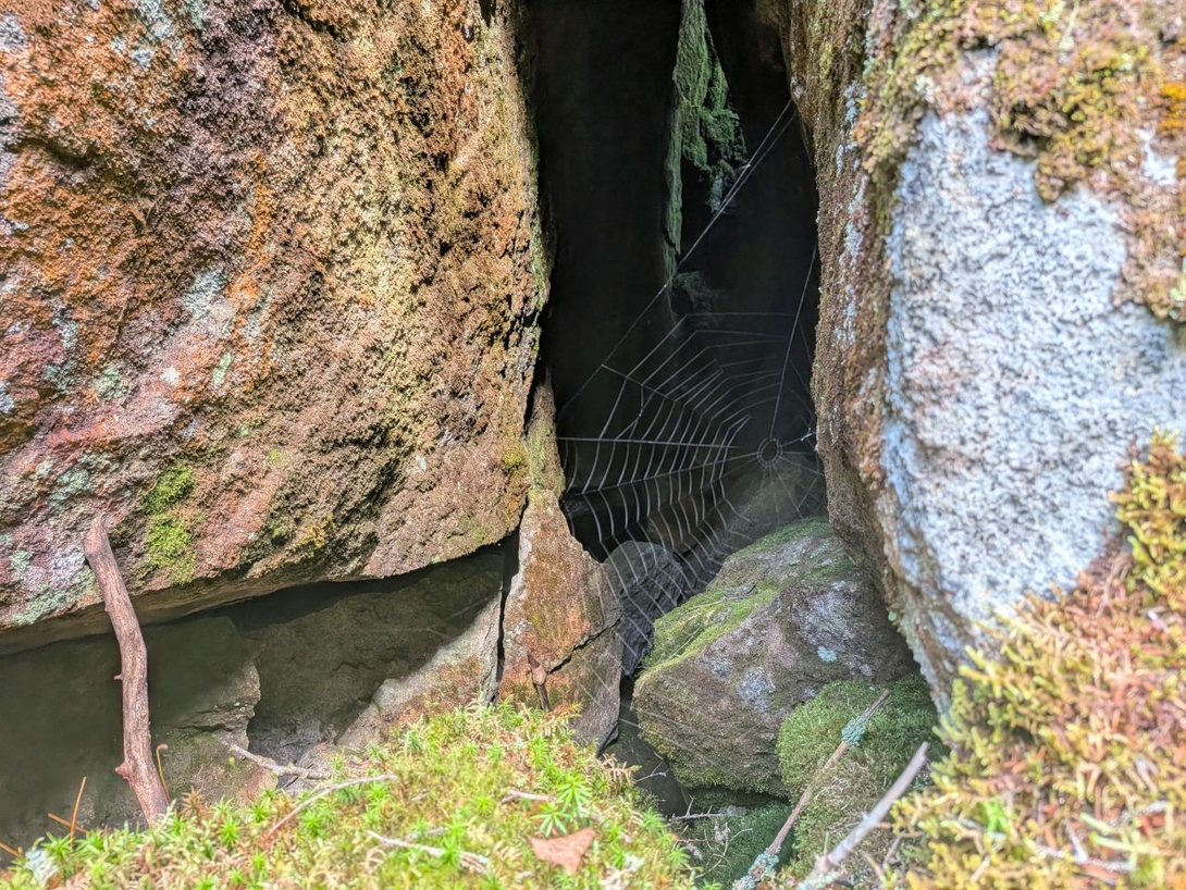 Shelob