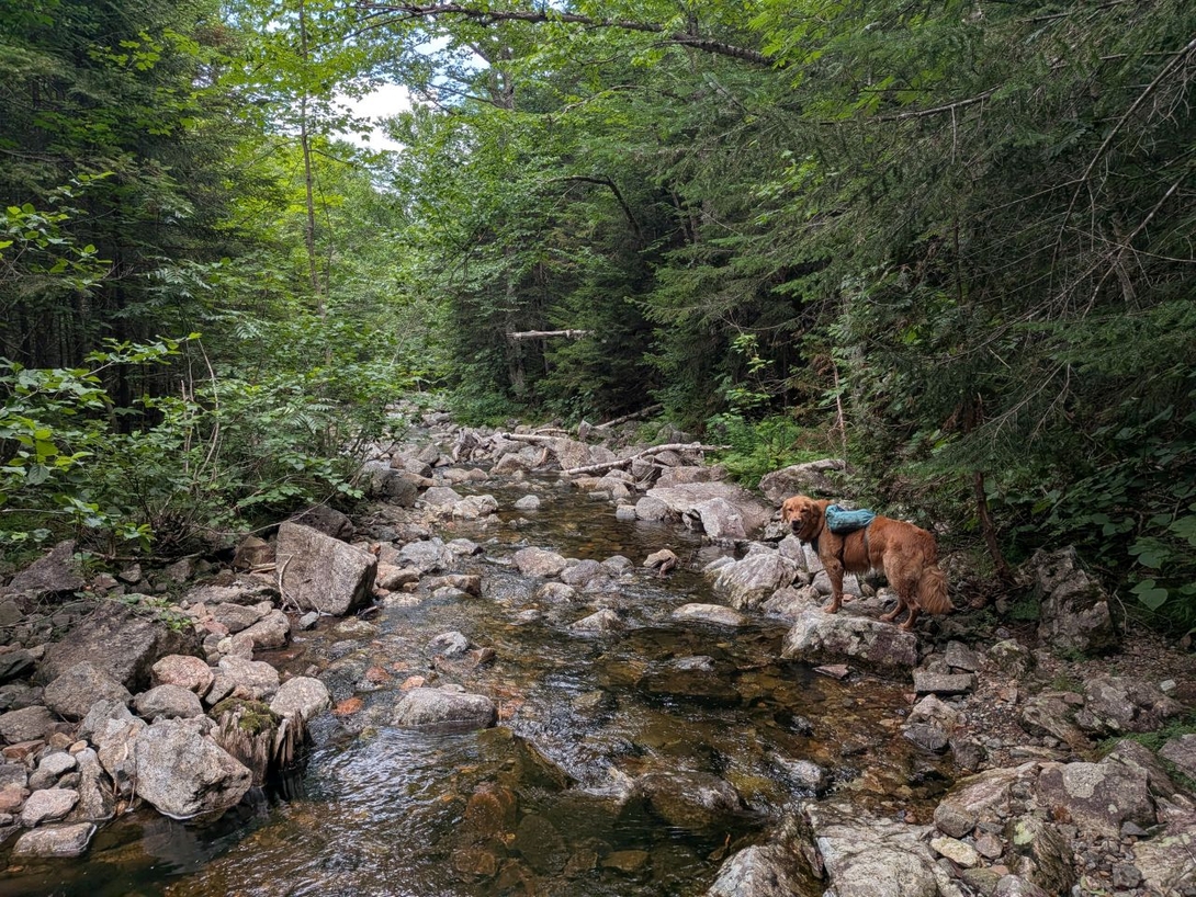 This is the trail