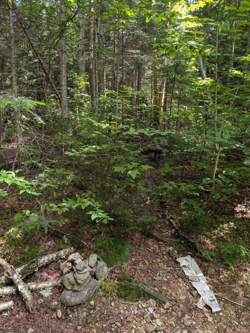 Cold Brook Pass Trail