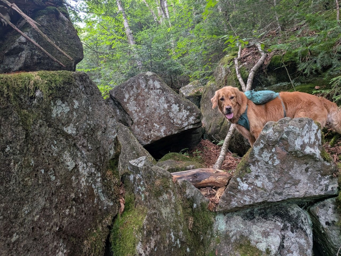 back up  the mountain
