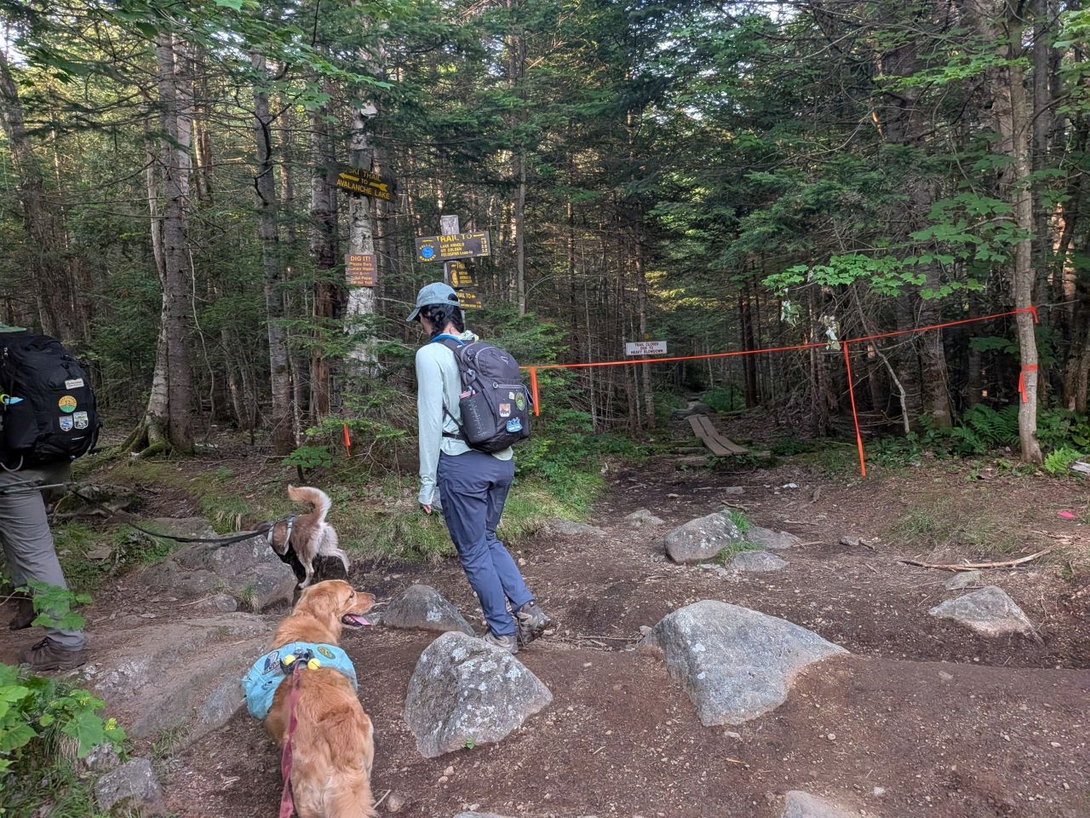 avalanche pass