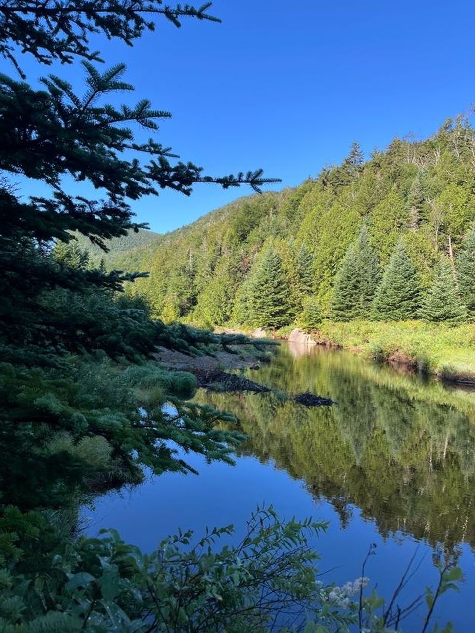 At indian  pass brook
