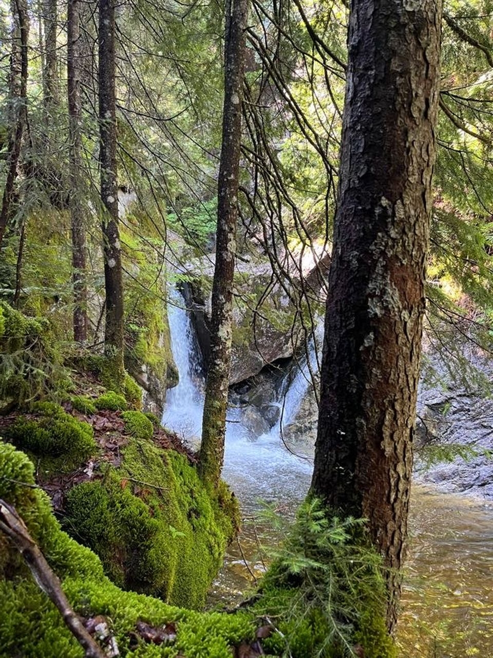 falls