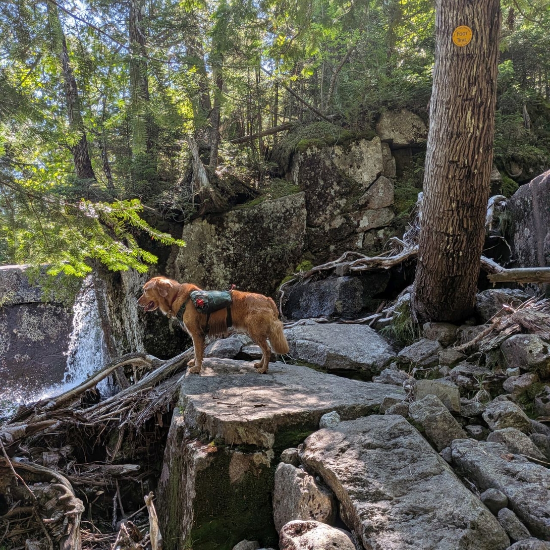 ledges