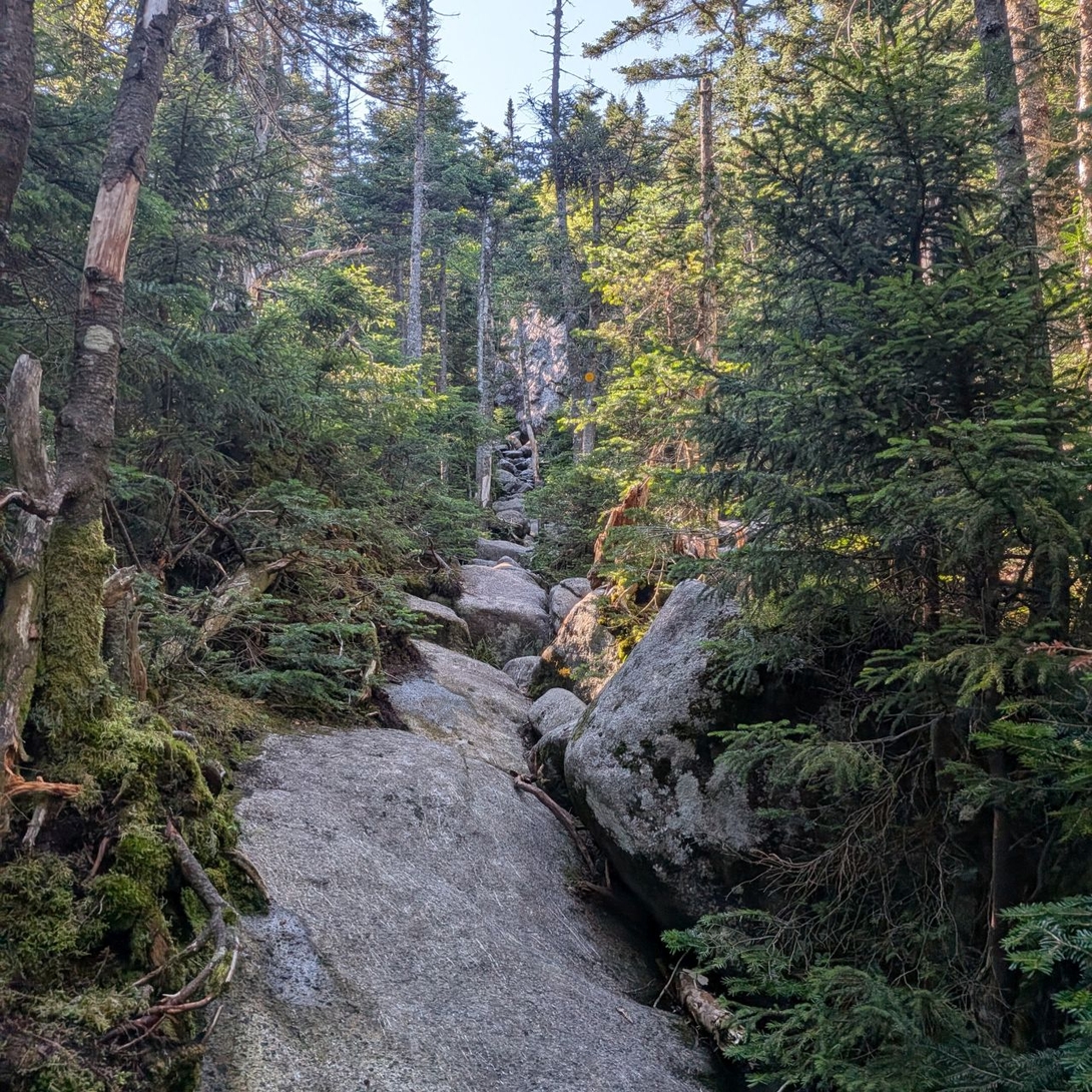 The trail  meandered up
