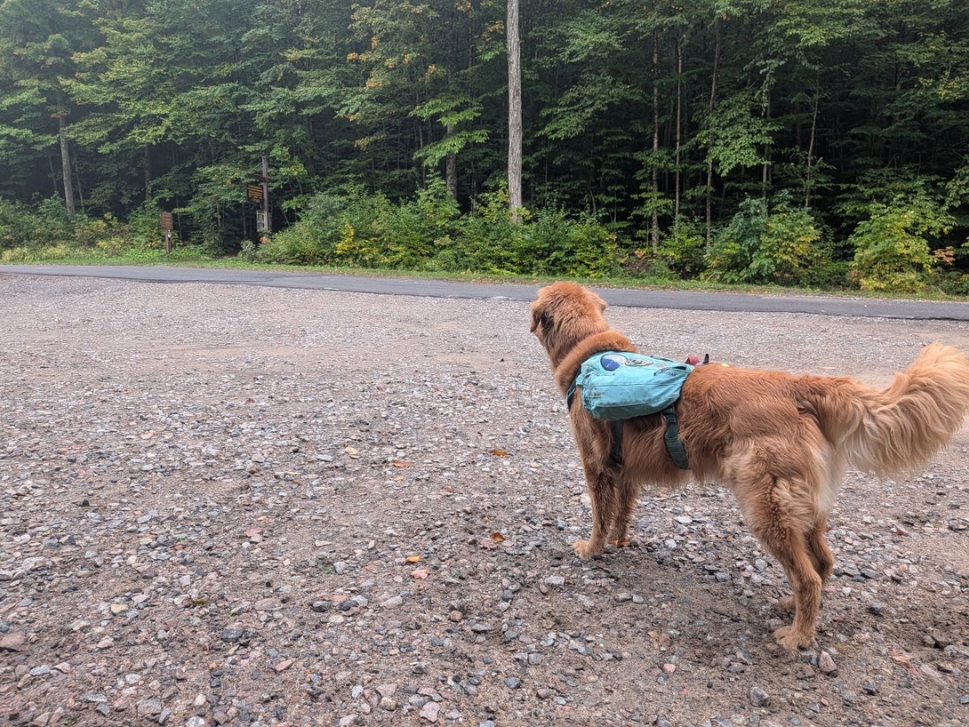Sunny getting ready to climb Mt. Arab