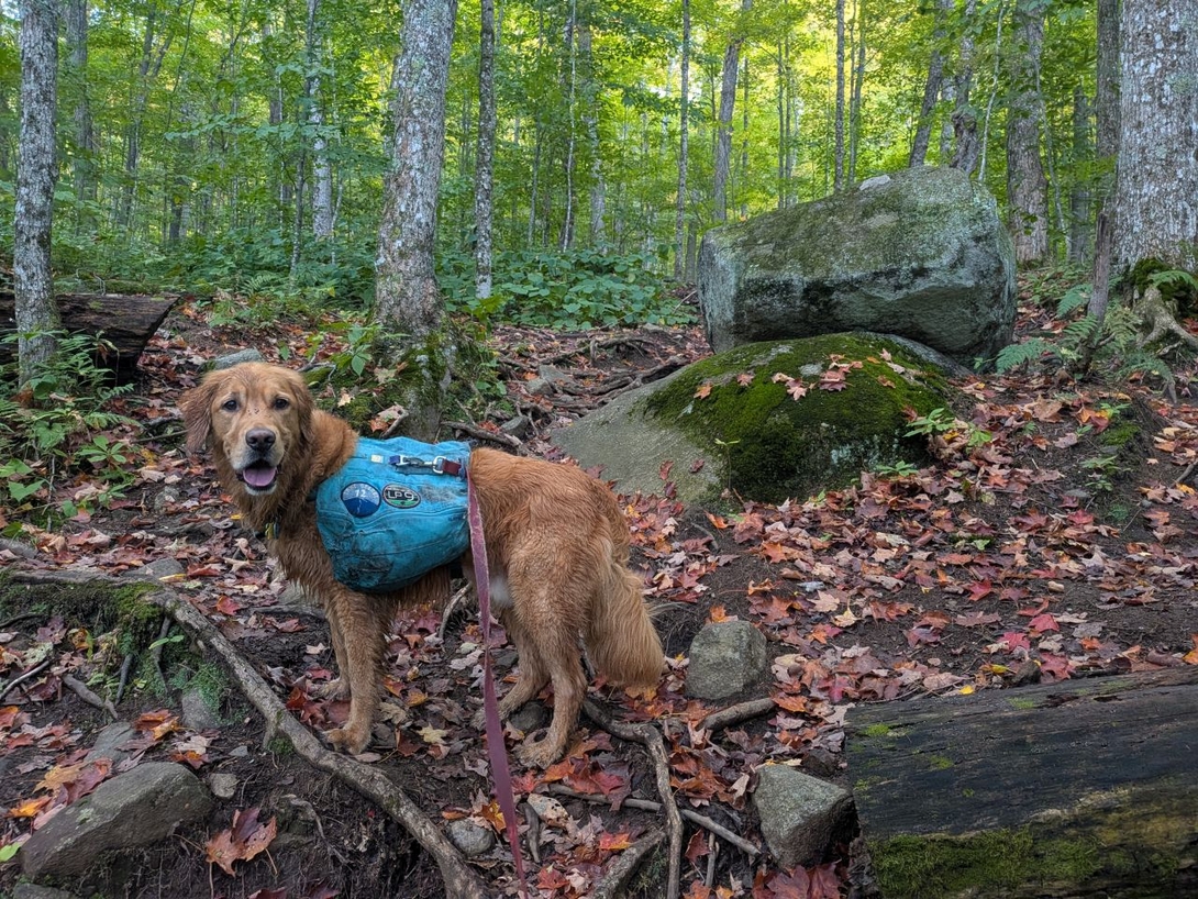 climbing past rocks