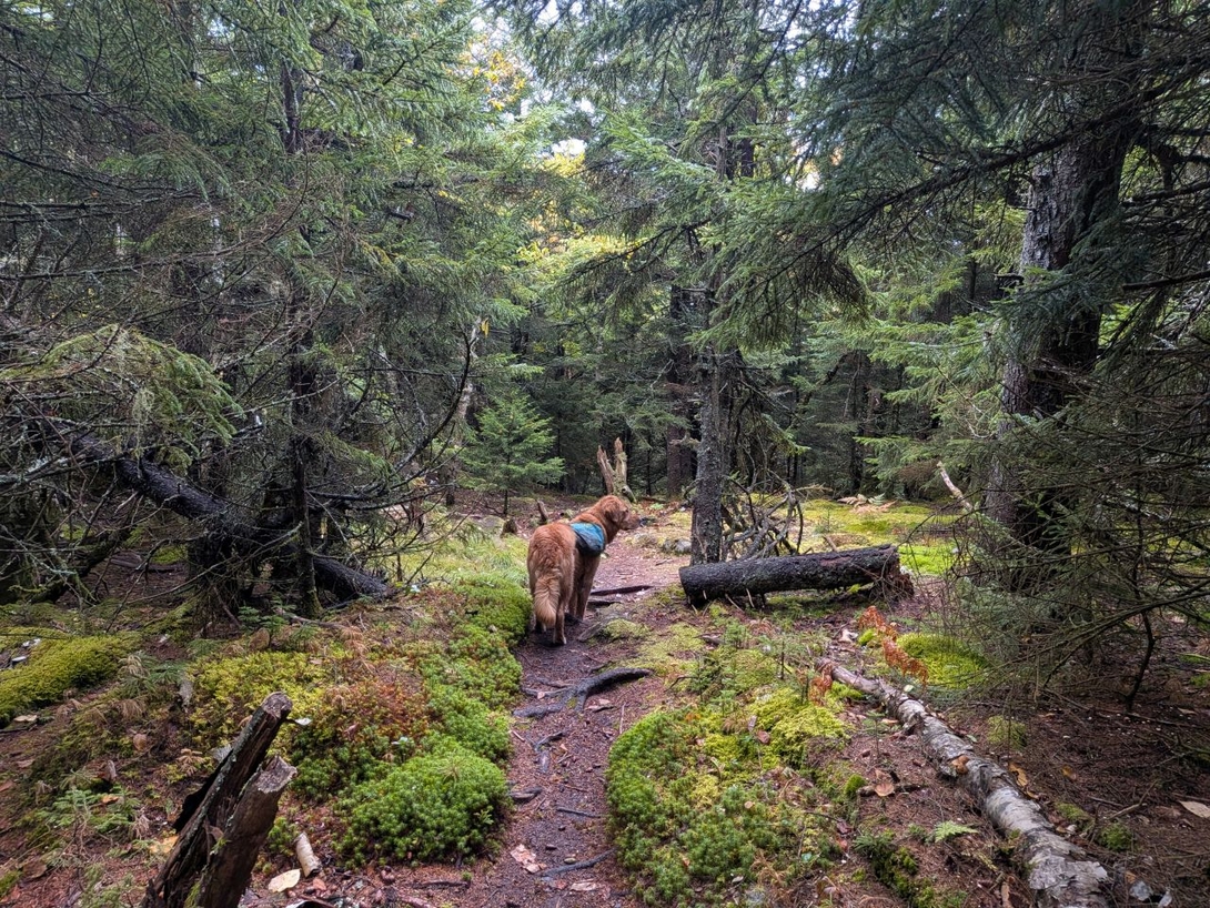 Long  walk along the summit