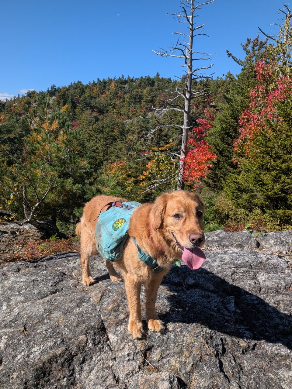Looking out at the true summit.