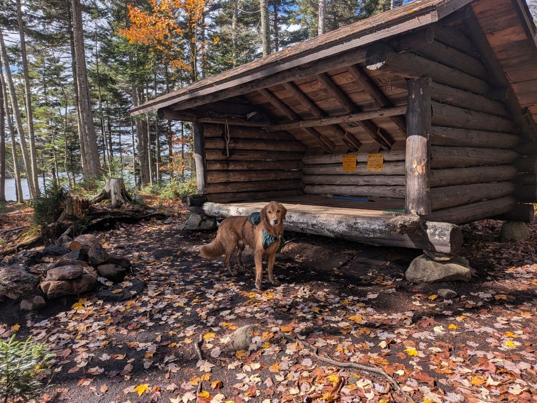 Sampson Lake Lean-to
