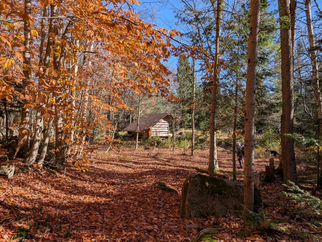cedar lakes lean-to 1